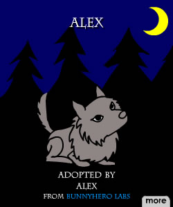 Alex is a wolf that likes to play,eat,and howl at the moon.