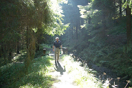Dieter taking a walk in the Bockswiese woods.