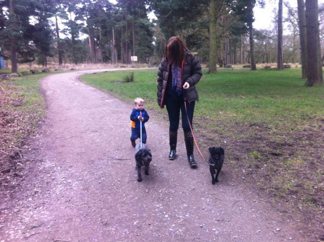 Leanne with Grayson walking the dogs in the park.