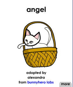 Angel is a cat that likes to eat and play.