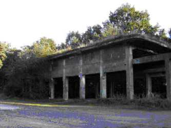 There are many of those bombed Bunkers in the forest