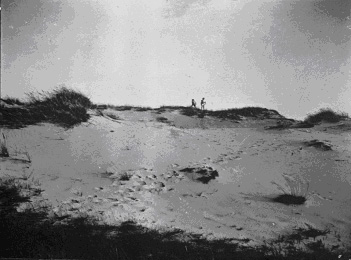 The Elbe-Beach by Dueneberg