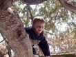 Image of boy climbing a tree