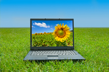 Computer Laptop on the grass showing a Sunflower.